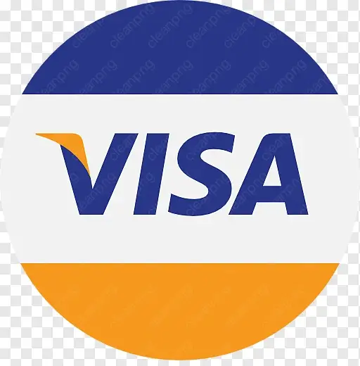 Visa Payment Icon